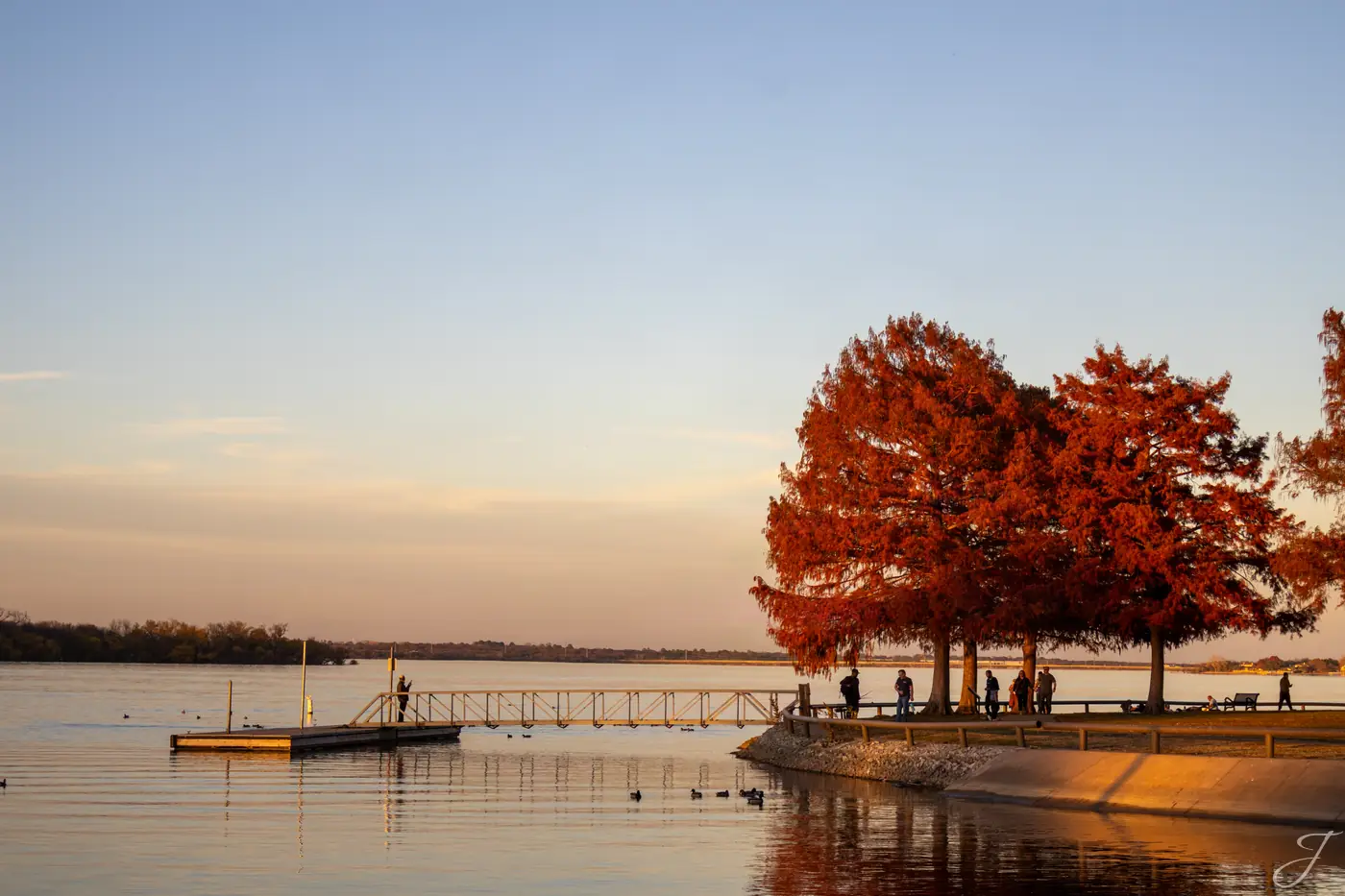 Golden Trees