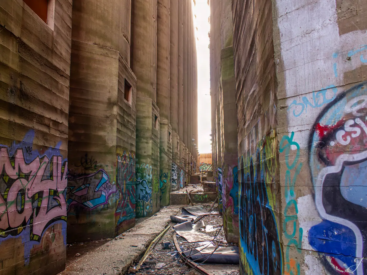 Corridor of Light